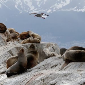 Natural Wonders of Argentina