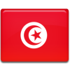 Tunisia-Flag-icon Tunisia-Flag-icon