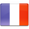 France-Flag-icon France-Flag-icon