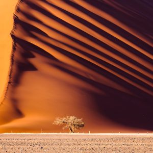 Highlights of Namibia