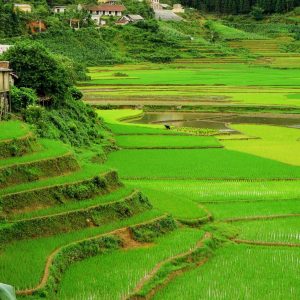 Vietnam Grand Journey – Sapa, Hanoi, Halong, Ninh Binh, Hue, Hoi An, Saigon, Mekong