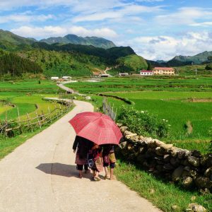 Vietnam Northern Icons – Sapa, Hanoi, Halong, Ninh Binh